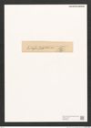 Navicula sp. (de-Toni-Nr.: Genus 1) Zeichnungen Sammlung Grunow (NHMW-BOT-W0368292)